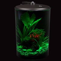 Koller Products AquaView 360 3 Gallon Aquarium with Power Filter