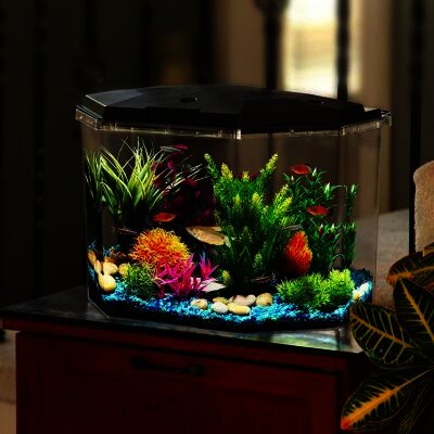 Koller Products 6.5-Gallon Aquarium Kit with Power Filter and LED Lighting, (AP650)