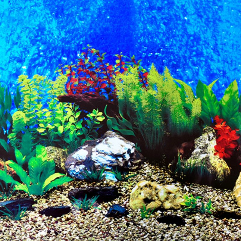 aquarium-wallpaper-petlove-veterinary-center
