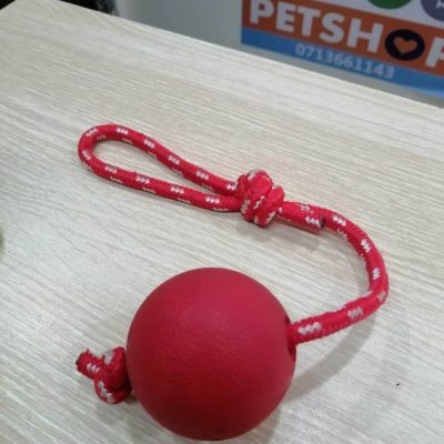 Dog tag toy