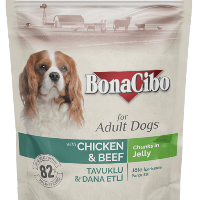 Bona Kibo Adult Dog food 100g