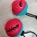 Dog play /biting toys with treat insert.