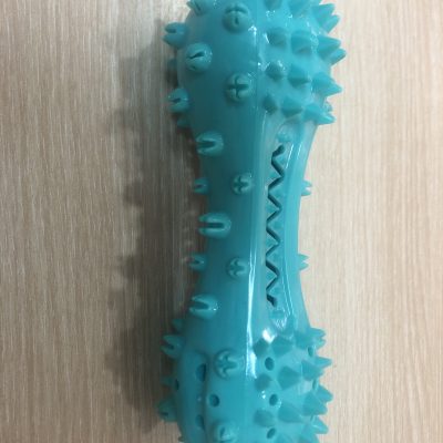 Dog chew toy with treat insert