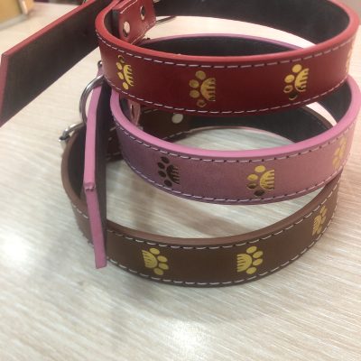 Lether small dog collar