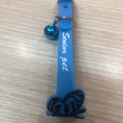 Silicon cat collar