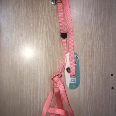 Small dog harness
