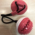 Dog toy